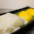 sticky rice with mango - Yukol Place Thai Cuisine